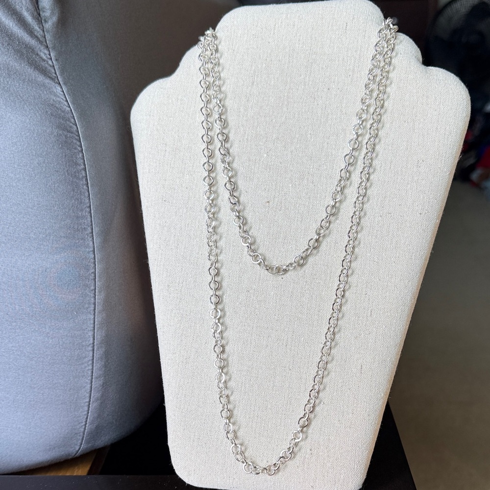 Express Silver Double-Layer Chain Necklace